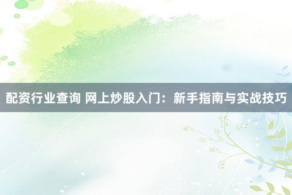配资行业查询 网上炒股入门：新手指南与实战技巧