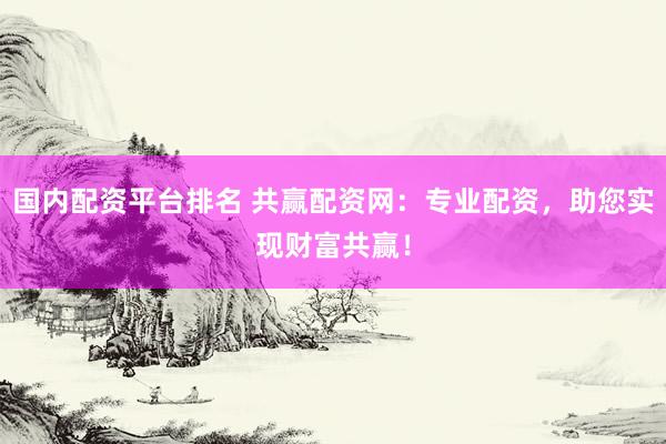 国内配资平台排名 共赢配资网：专业配资，助您实现财富共赢！