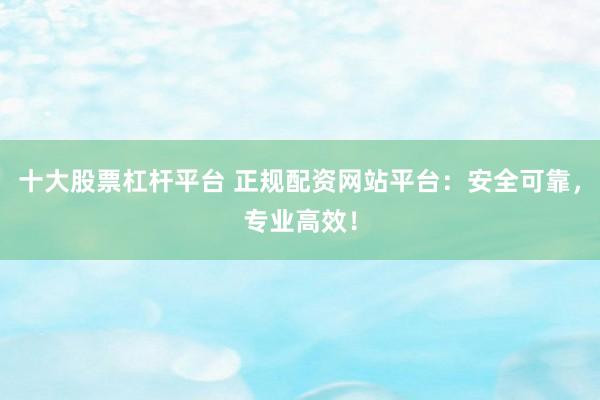 十大股票杠杆平台 正规配资网站平台：安全可靠，专业高效！