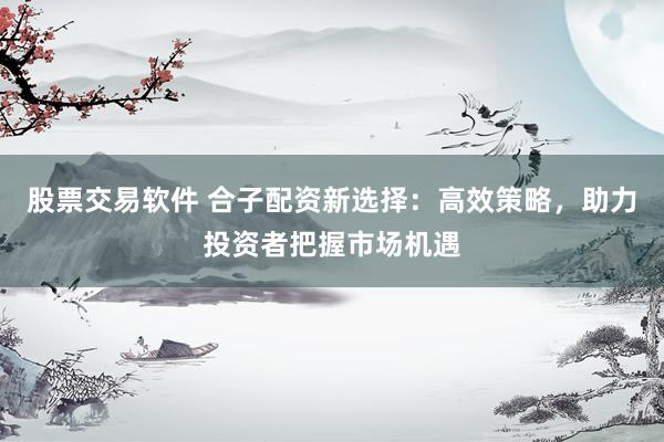 股票交易软件 合子配资新选择：高效策略，助力投资者把握市场机遇