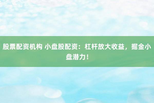 股票配资机构 小盘股配资：杠杆放大收益，掘金小盘潜力！
