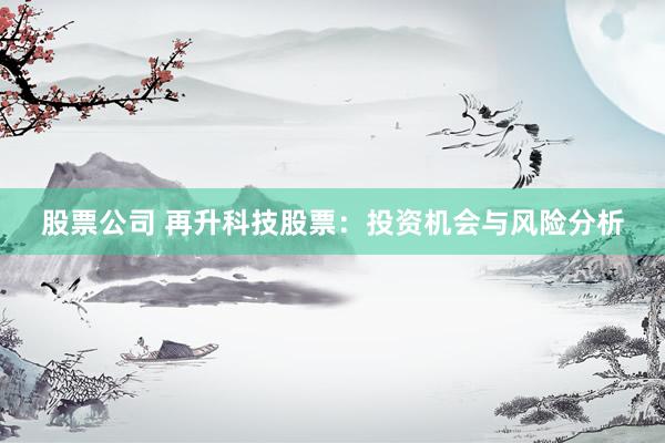 股票公司 再升科技股票：投资机会与风险分析