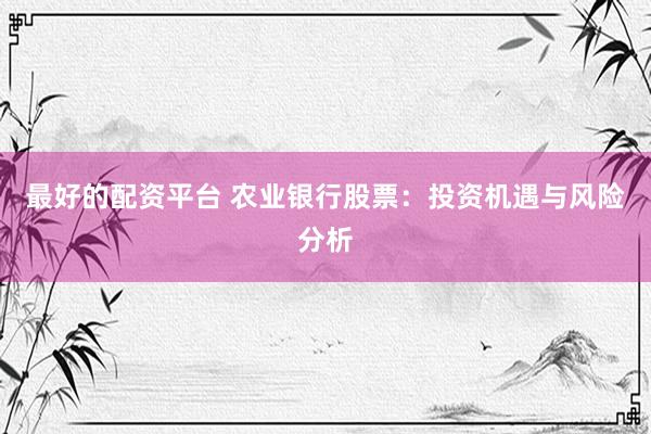 最好的配资平台 农业银行股票：投资机遇与风险分析