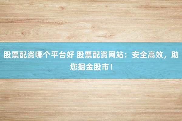 股票配资哪个平台好 股票配资网站：安全高效，助您掘金股市！