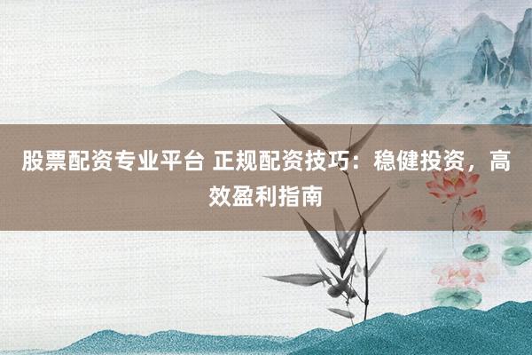 股票配资专业平台 正规配资技巧:稳健投资,高效盈利指南