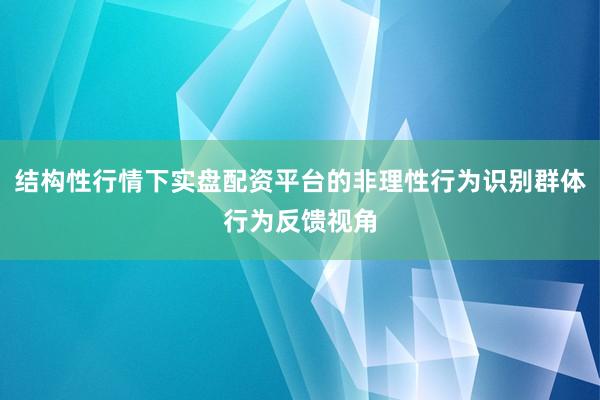 结构性行情下实盘配资平台的非理性行为识别群体行为反馈视角